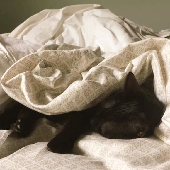 Meet your Posher, Kiara/Kieran - Picture 4 of 7